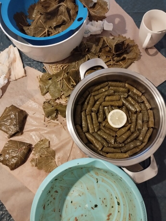 Yalnız yaşayan erkekler hamarat mıdır?