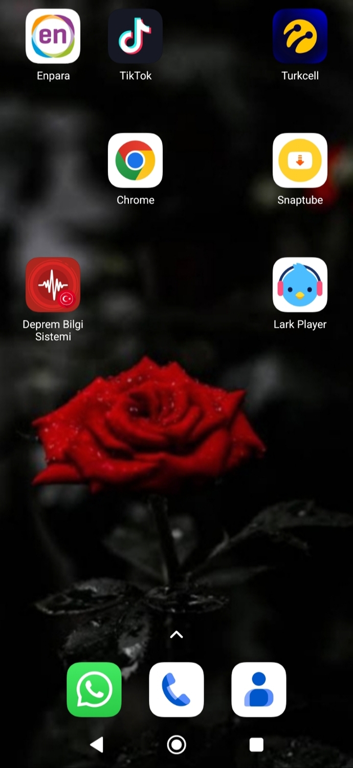 Telefon ekranınızda ne var?