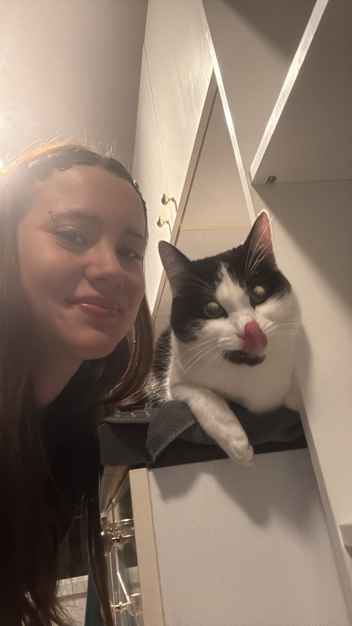 Kedi buldum ne yapayım?