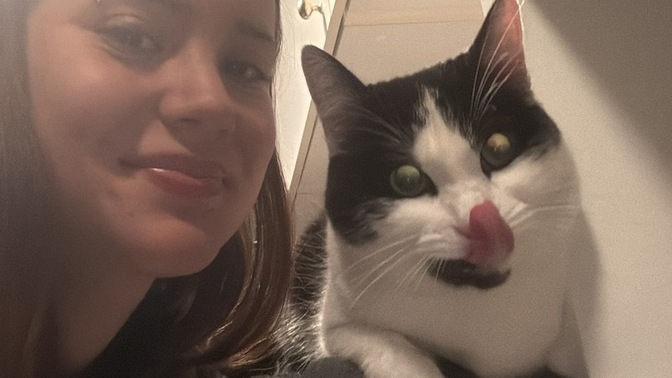 Kedi buldum ne yapayım?