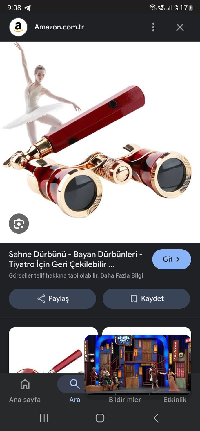 Konser, tiyatro, opera, bale, müzikal, voleybol maçı izleme vs gibi etkinliklere gider misiniz?