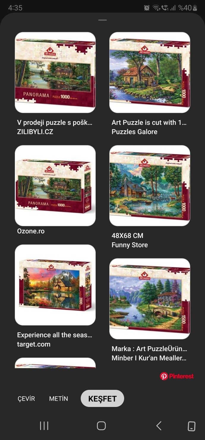 Sizce puzzle yapıp duvara asmak mı yoksa duvara sanat eseri kabul edilen ressam tabloları asmak mı daha güzel durur?
