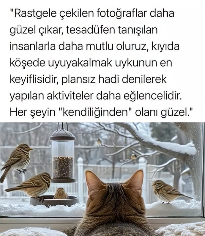 Hayatımızda tesadüfen yaşadığımız şeyler mi daha çok keyif verirr yoksa kurallı ve disiplinli yaşadığımız şeyler mi?