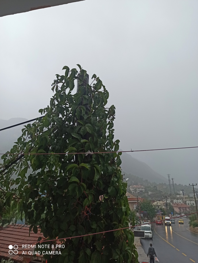 Günaydın 😊 Sizin orada hava nasıl?