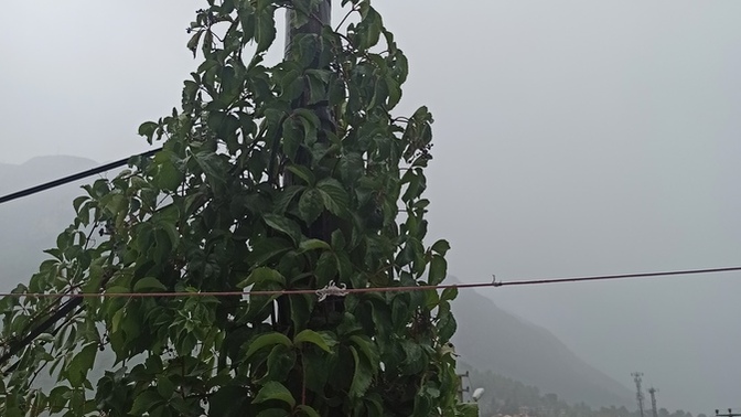 Günaydın 😊 Sizin orada hava nasıl?