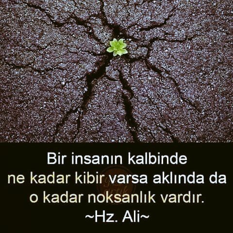 Kibirli insanları hiç sevmem. ya siz?