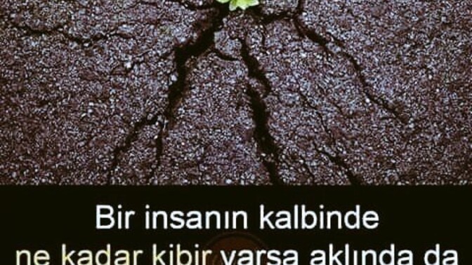 Kibirli insanları hiç sevmem. ya siz?
