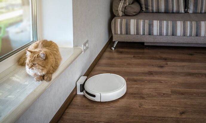 Kedili evler için robot süpürge şart mı?