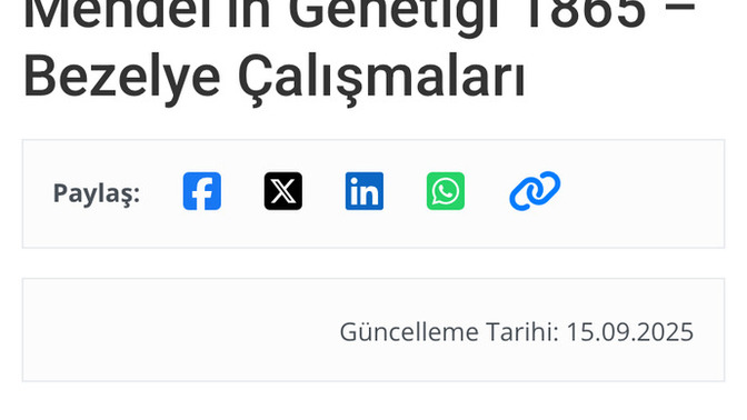 Kuran Allah kelamıdır Muhammed peygamberin değil içindeki mucizeler çok net yaratıcıdan geldiğini gösteriyordur hala mı inkar ya?