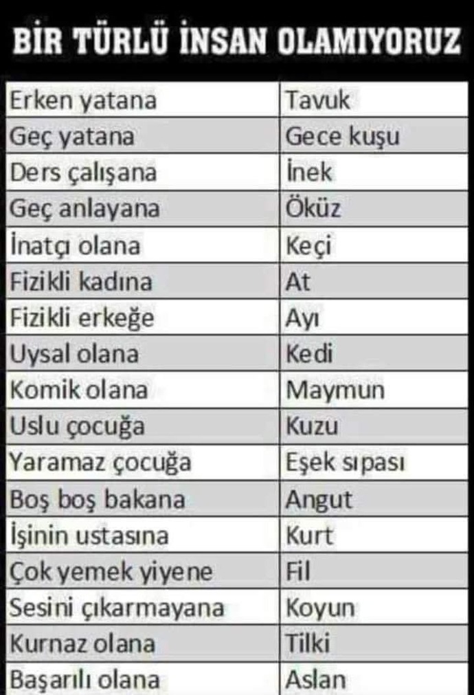 Siz bunlardan hangisi oluyorsunuz?