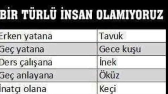 Siz bunlardan hangisi oluyorsunuz?