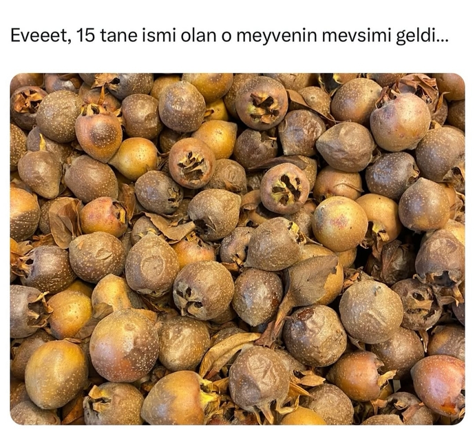 Sizce bu meyvenin adı ne?
