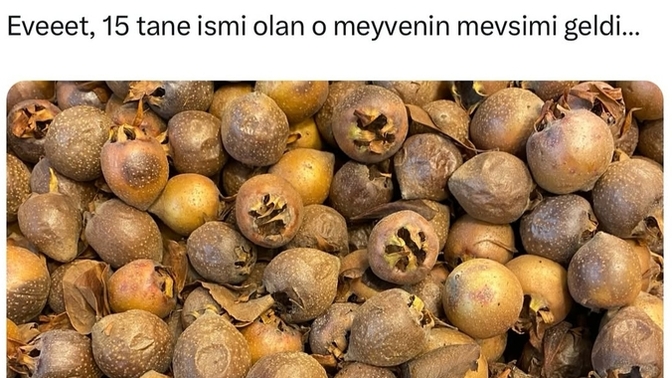 Sizce bu meyvenin adı ne?
