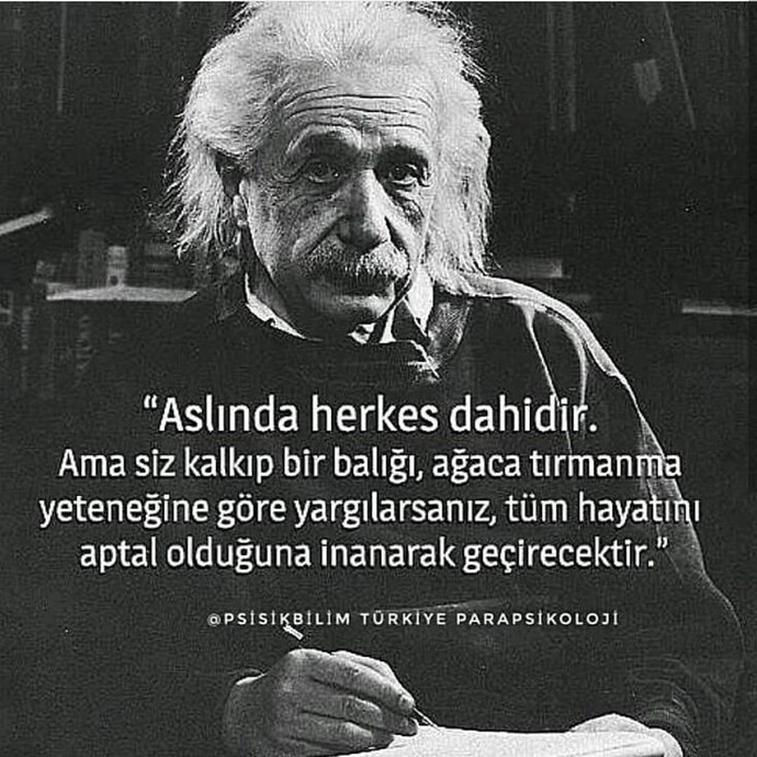 Albert Einstein ın bu sözü hakkında ne düşünüyorsunuz?