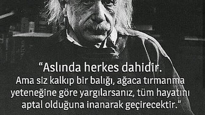 Albert Einstein 'ın bu sözü hakkında ne düşünüyorsunuz?