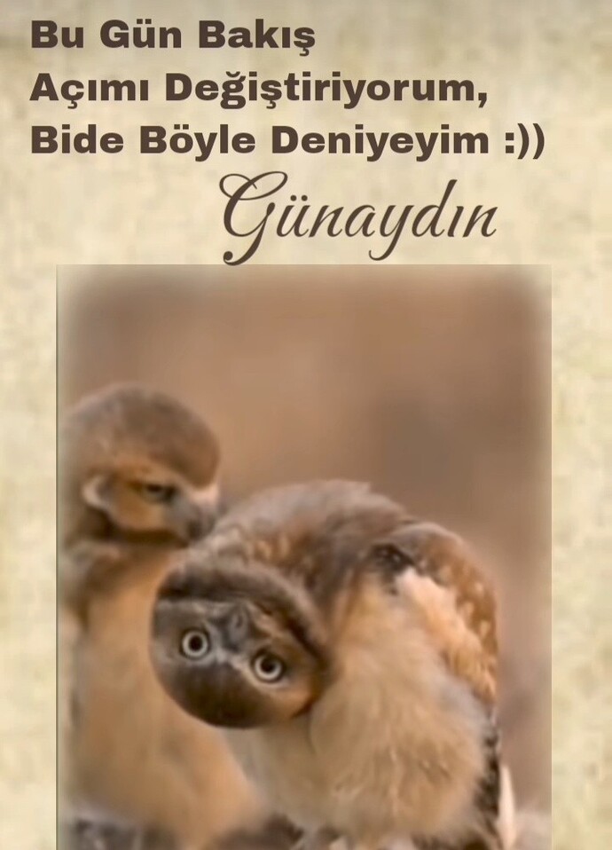 Siz bakış açınızı ne zaman veya ne için değiştirdiniz?