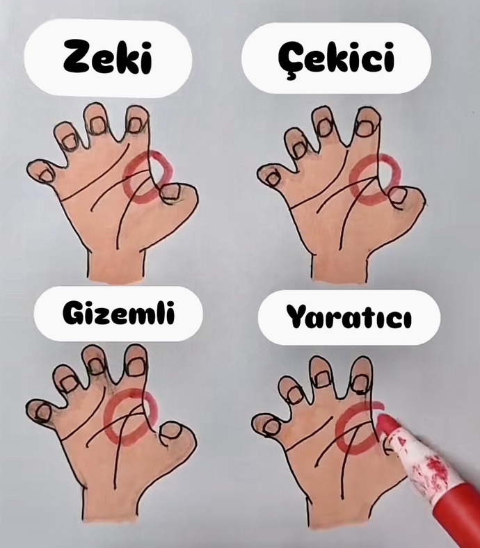 ✌🏻