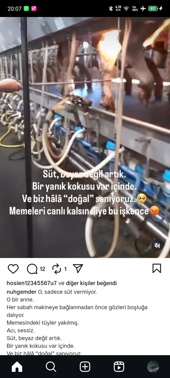 Bu akpnin hayvan düşmanlığı neden sınır tanımıyor?
