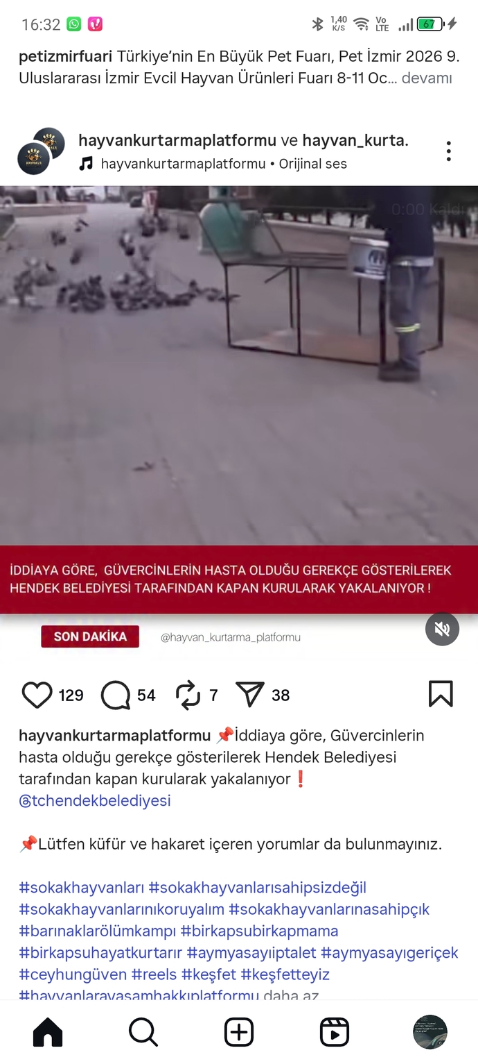 Bu akpnin hayvan düşmanlığı neden sınır tanımıyor?