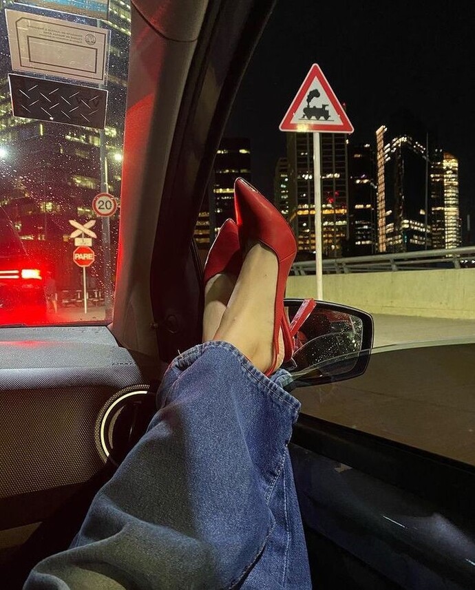 Sizinle bu arabaya binip nereye giderdim söyleyim mi?