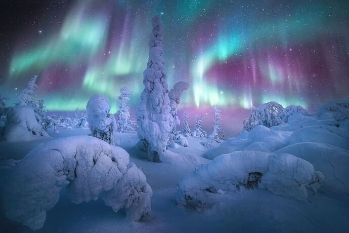 Aurora Borealis