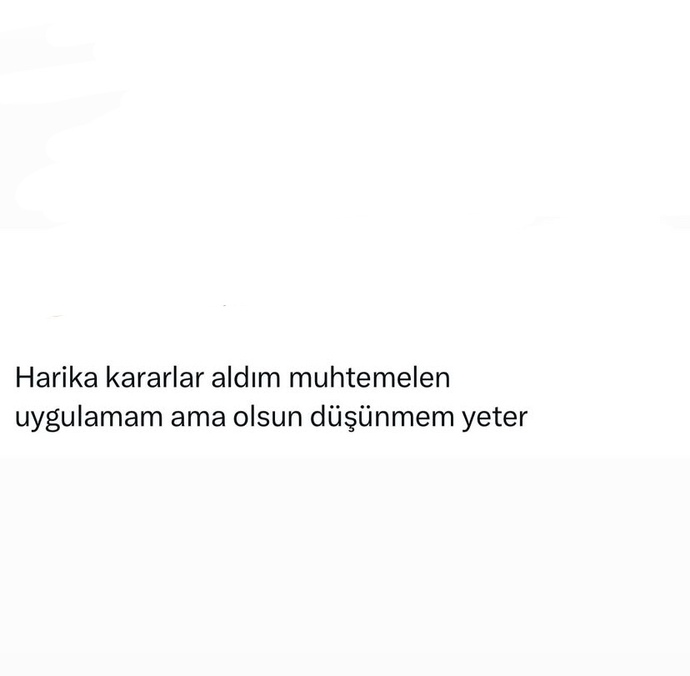 Aldığınız kararları uygulayabiliyor musunuz?
