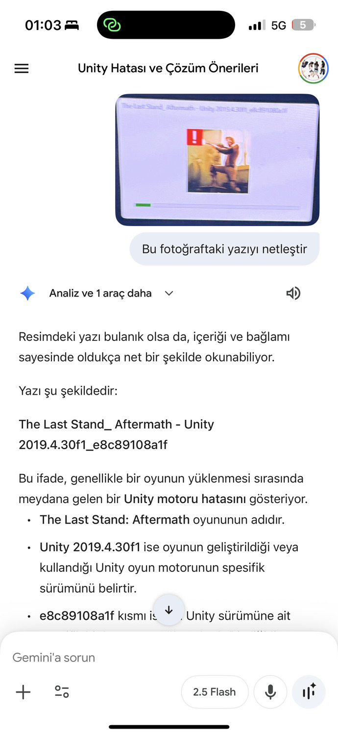 The last after math oyunu pc açılmıyor nasıl açarım?