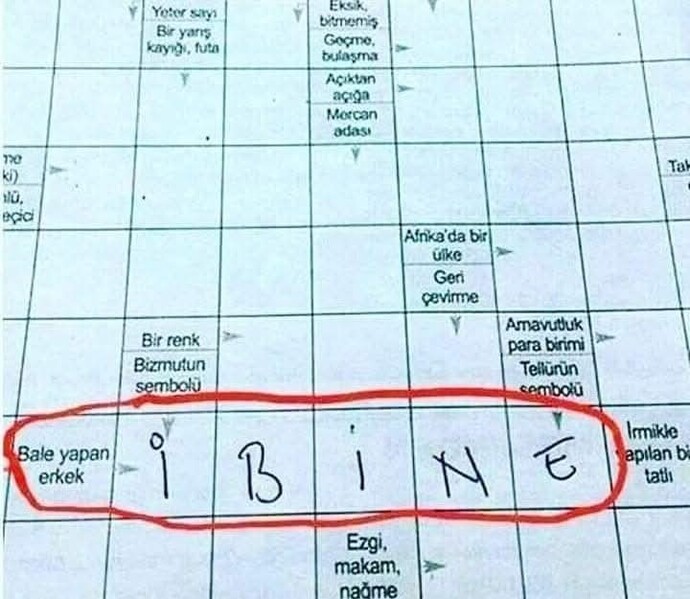 Bale yapan erkeğe ne denir?