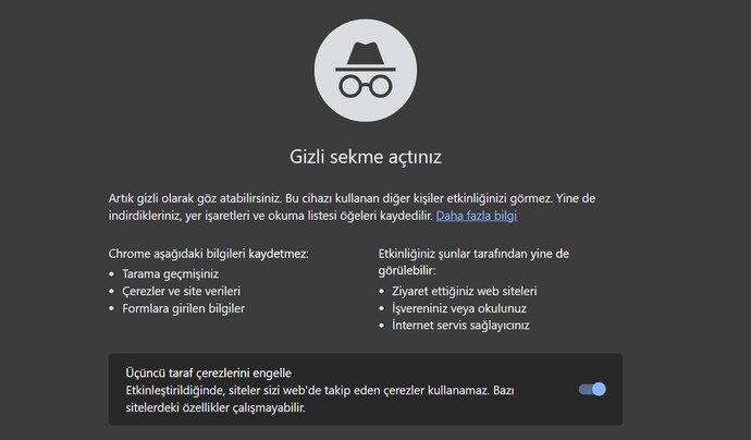 Ailenin senin internet arama geçmişini mi öğrenmesini isterdin yoksa 10 tane okkalı tokat yemek mi?