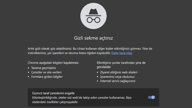 Ailenin senin internet arama geçmişini mi öğrenmesini isterdin yoksa 10 tane okkalı tokat yemek mi?
