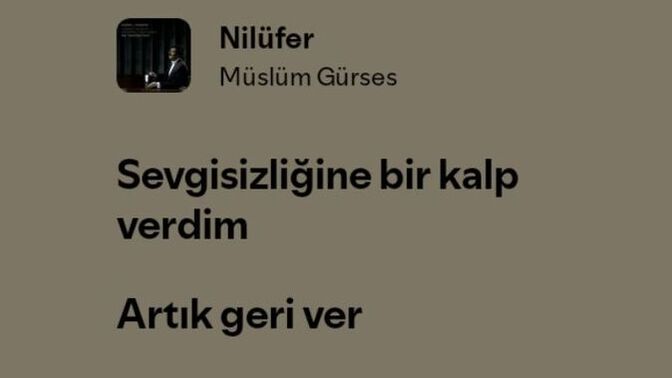 Müzik listemde 215 şarkı var. Bir sayı seç, sana o şarkıyı hediye edeyim, ne dersin?