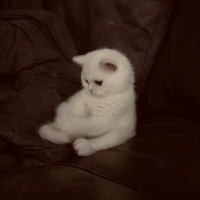 Aklınızın hep düşünmeye müsait olduğu bir olay var mı?