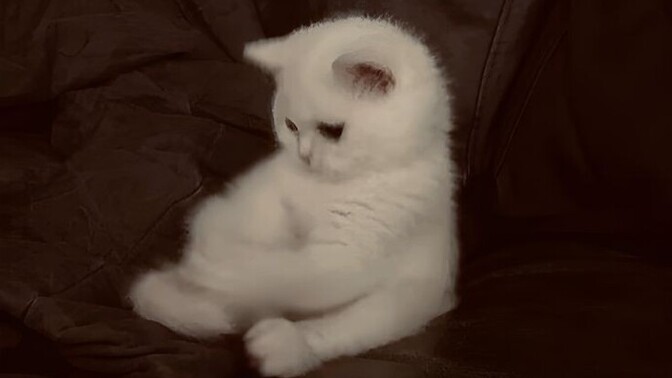 Aklınızın hep düşünmeye müsait olduğu bir olay var mı?