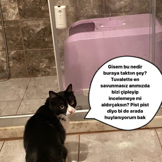 Sevgili (eş) varken tuvalete girmekten çekinir misiniz?
