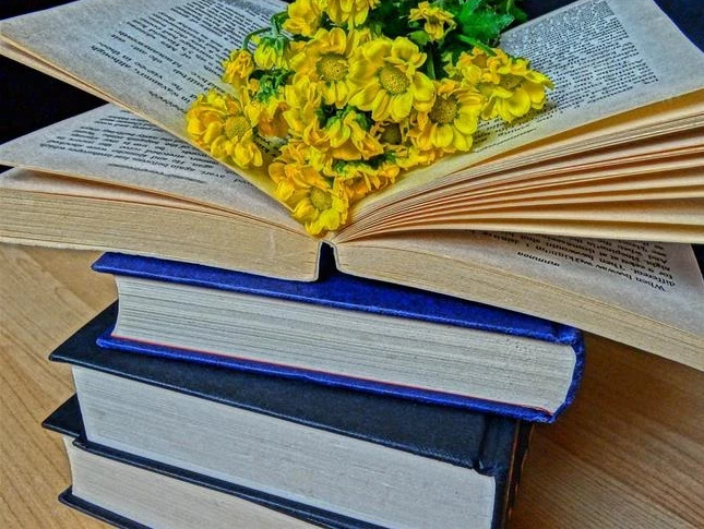 Hayatın bir roman olsaydı giriş cümlesi ne olurdu?