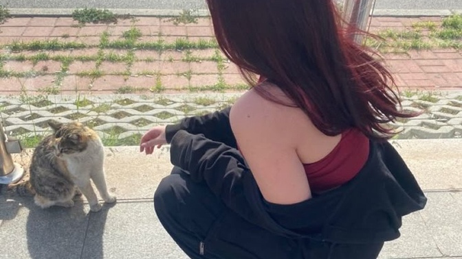 Bu fotoğrafı yapay zeka ile saçı kumral yapabilirmiyim?
