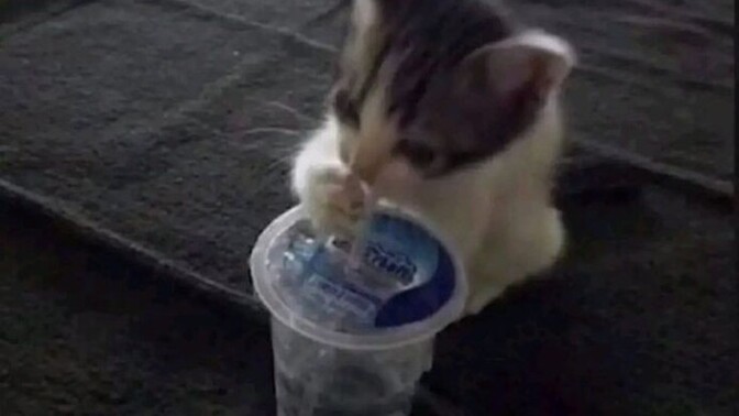 Olur olmadık neye canın çekti?
