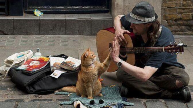 Kedi sever misiniz? Kedilerin sanata etkisi var mı sizce?
