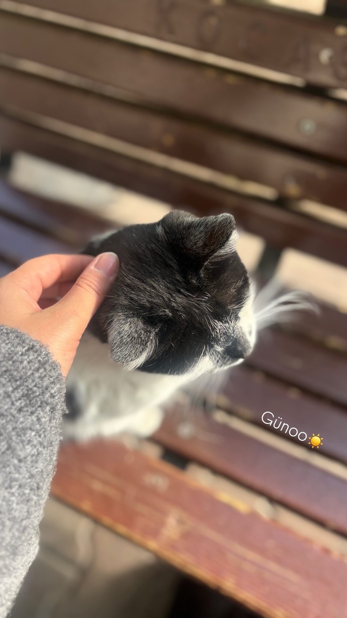 Günaydınn nasılsınız gününüz nasıl geçiyor 🌸?