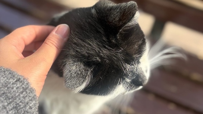 Günaydınn nasılsınız gününüz nasıl geçiyor 🌸?