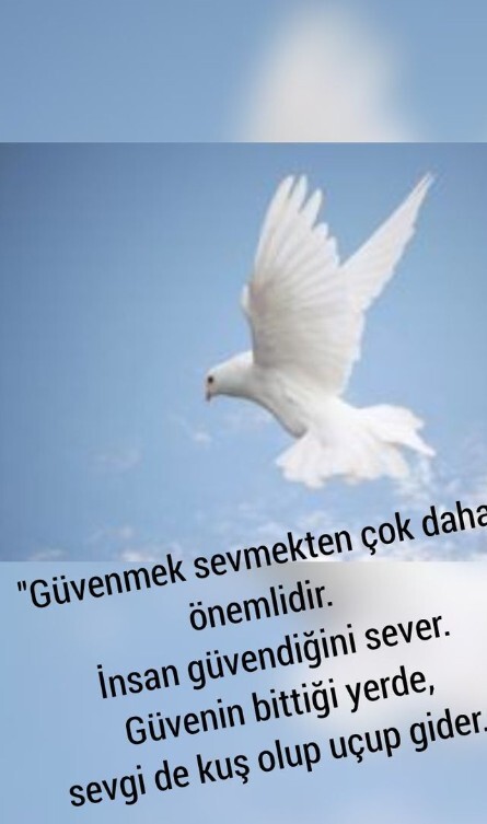 Zengin, mutsuz bir hayat mı yoksa Fakir ama gururluyum demesi mi mutlu eder?