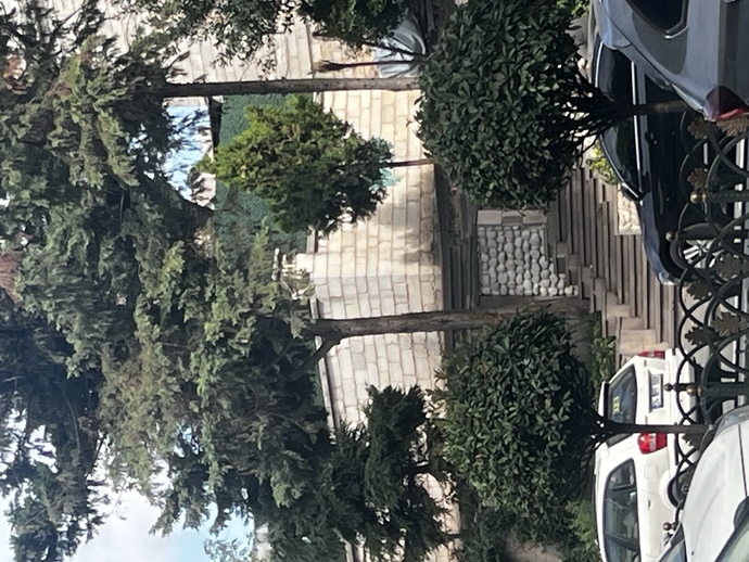 Her türlü akıla açığım?