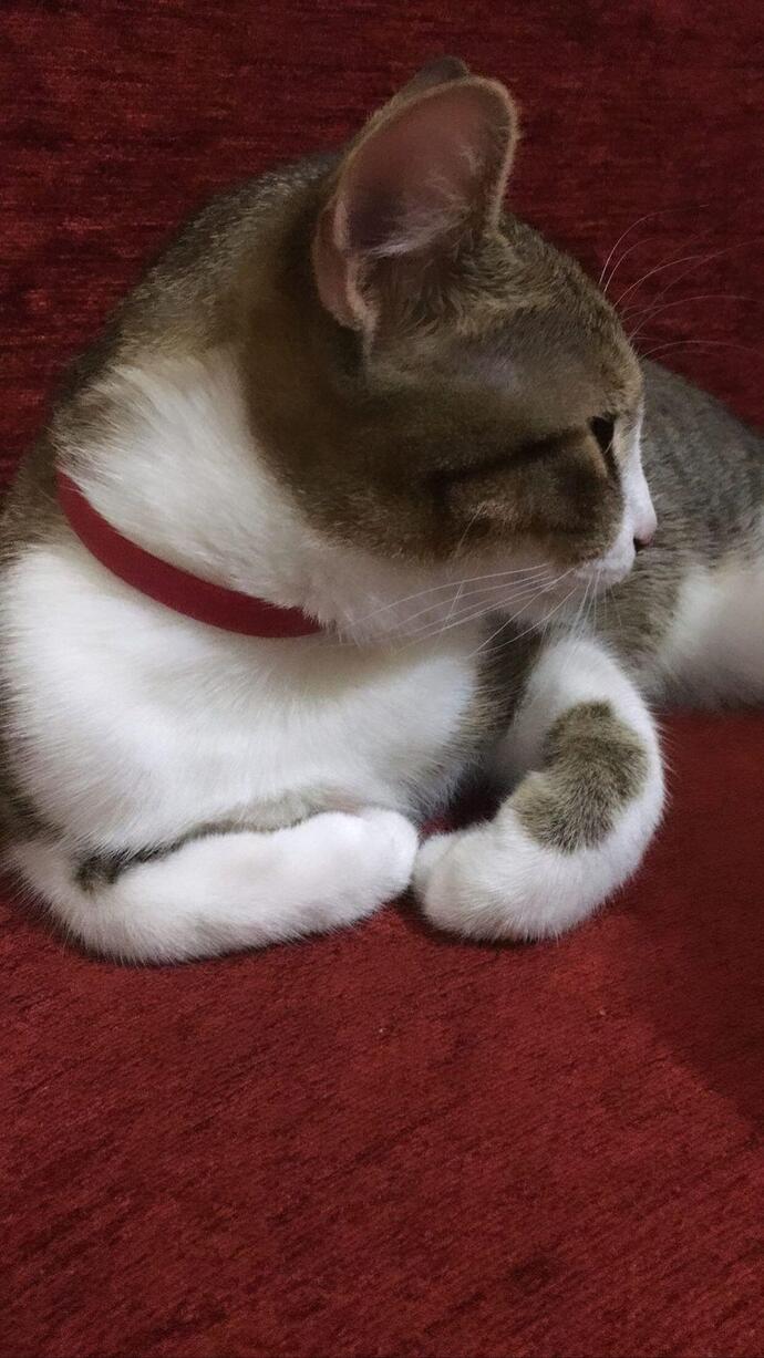 Sabahları uyandığınızda, ilk ne ile meşgul olursunuz?