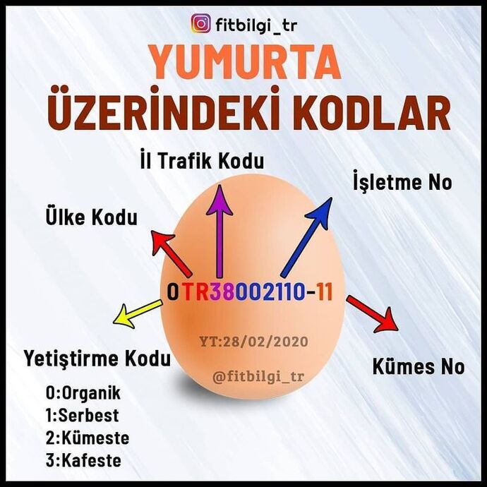 Beyaz yumurta ile kahverengi yumurta arasında ne fark vardır? Bilen var mı 🥚🥚🍳?