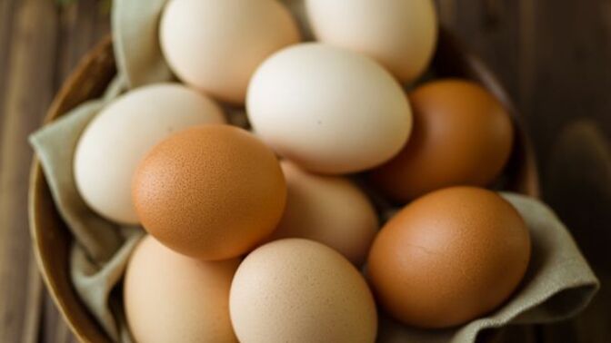 Beyaz yumurta ile kahverengi yumurta arasında ne fark vardır? Bilen var mı 🥚🥚🍳?