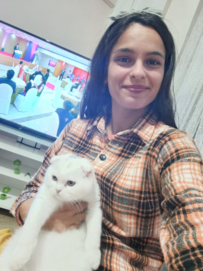 Kedimiz nasıl sizce?