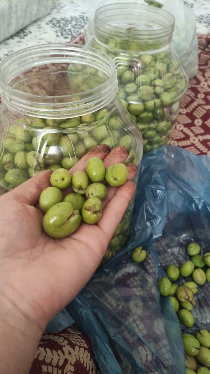 Zeytinlerinizi yaptınız mı?