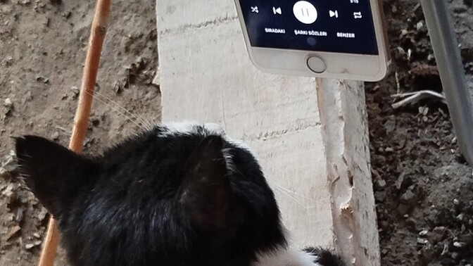 Siz hiç çocuk oldunuz mu 💔?