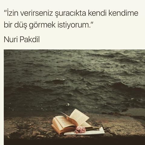 Kitapsı düşler