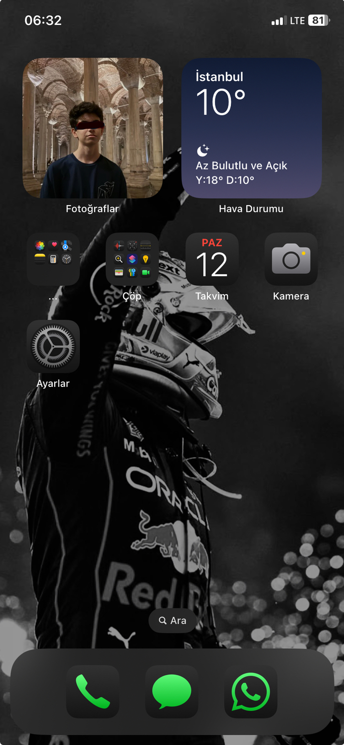 Max Verstappen F1 pilotu